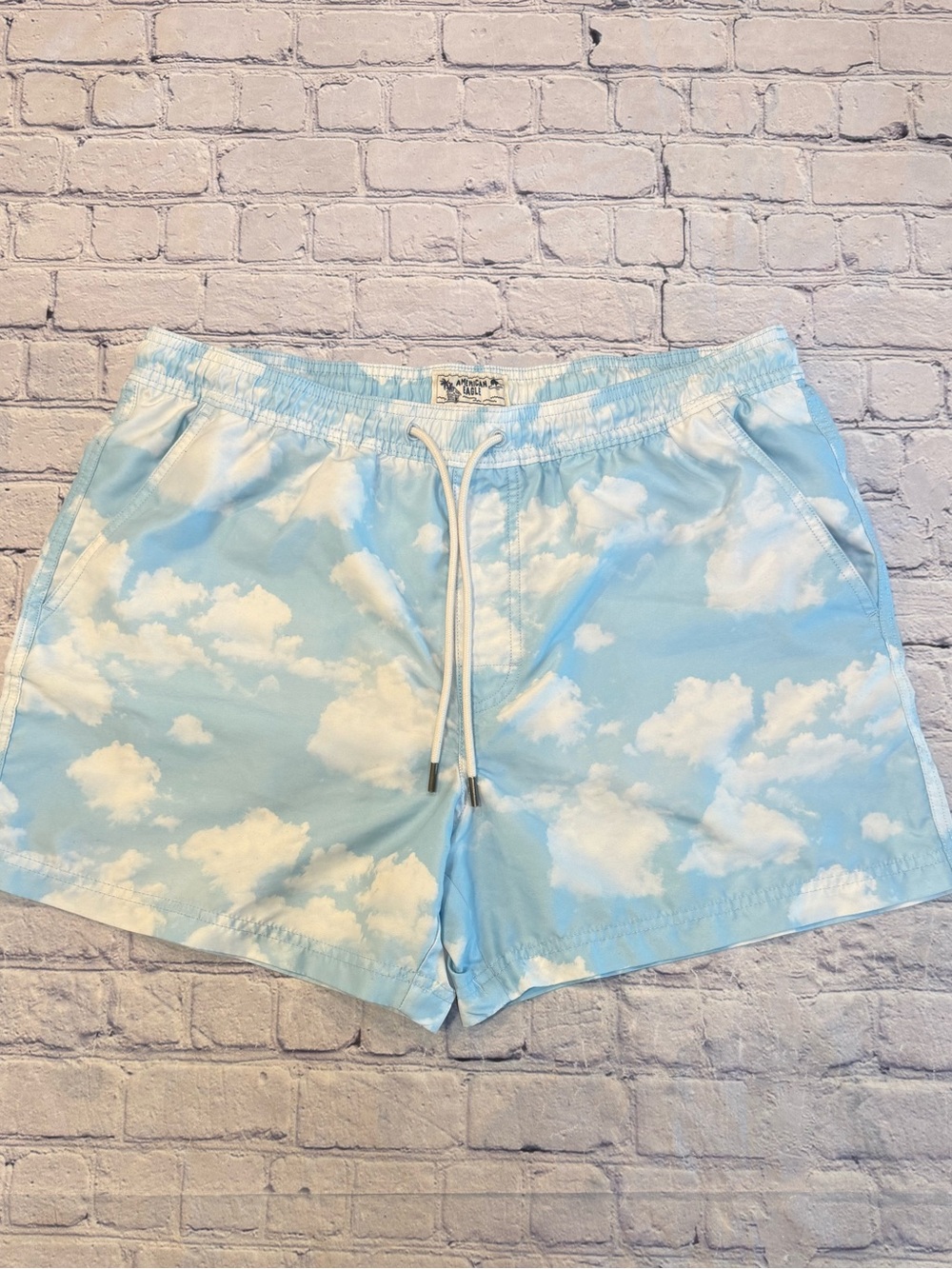 American Eagle Outfitters Blue Cloud-Print Swim Trunks.